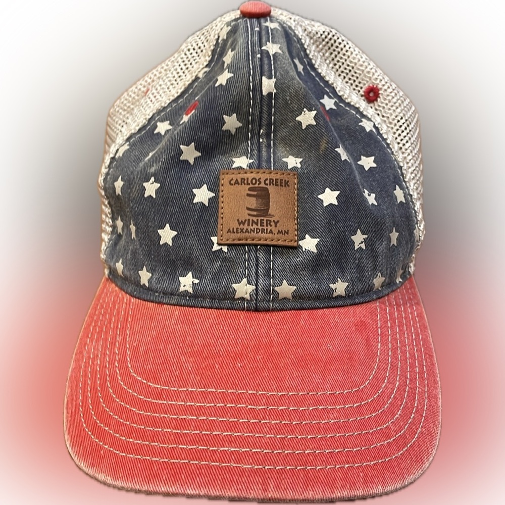 USA theme trucker hat